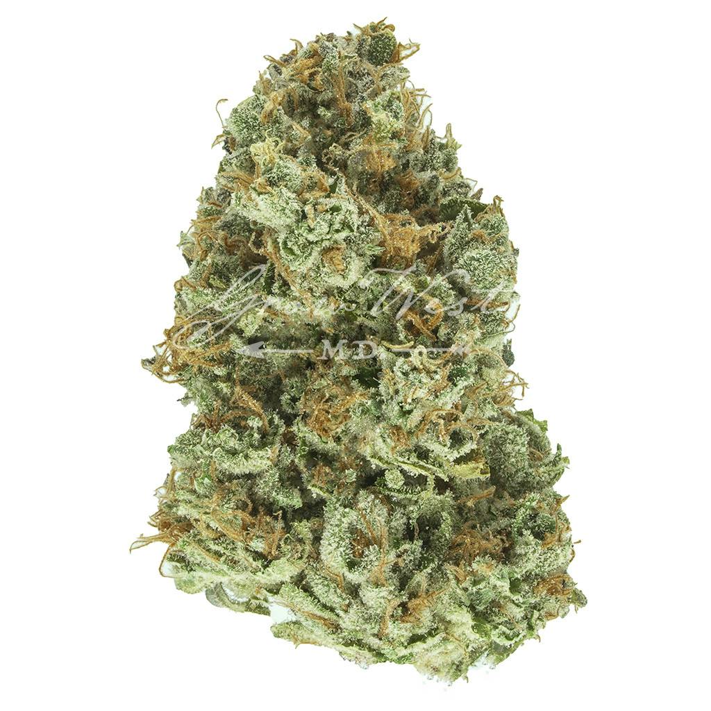 Flo Walker | Gold | Trimmed | 3.5g