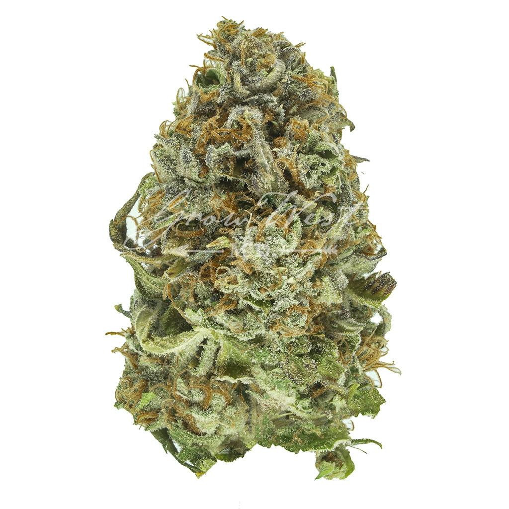 Flo Walker | Silver | Untrimmed | 3.5g