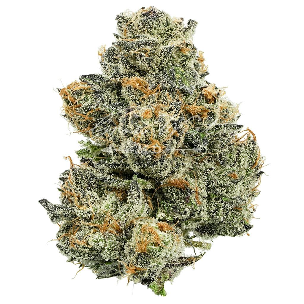 Houston, We Have A Problem | Premium | Hand-Trimmed | 3.5g