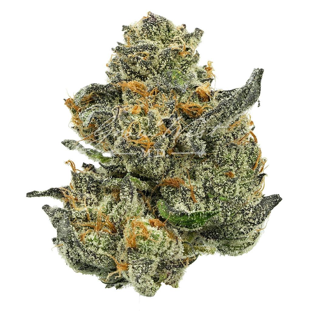 Houston, We Have A Problem | Silver | Untrimmed | 3.5g