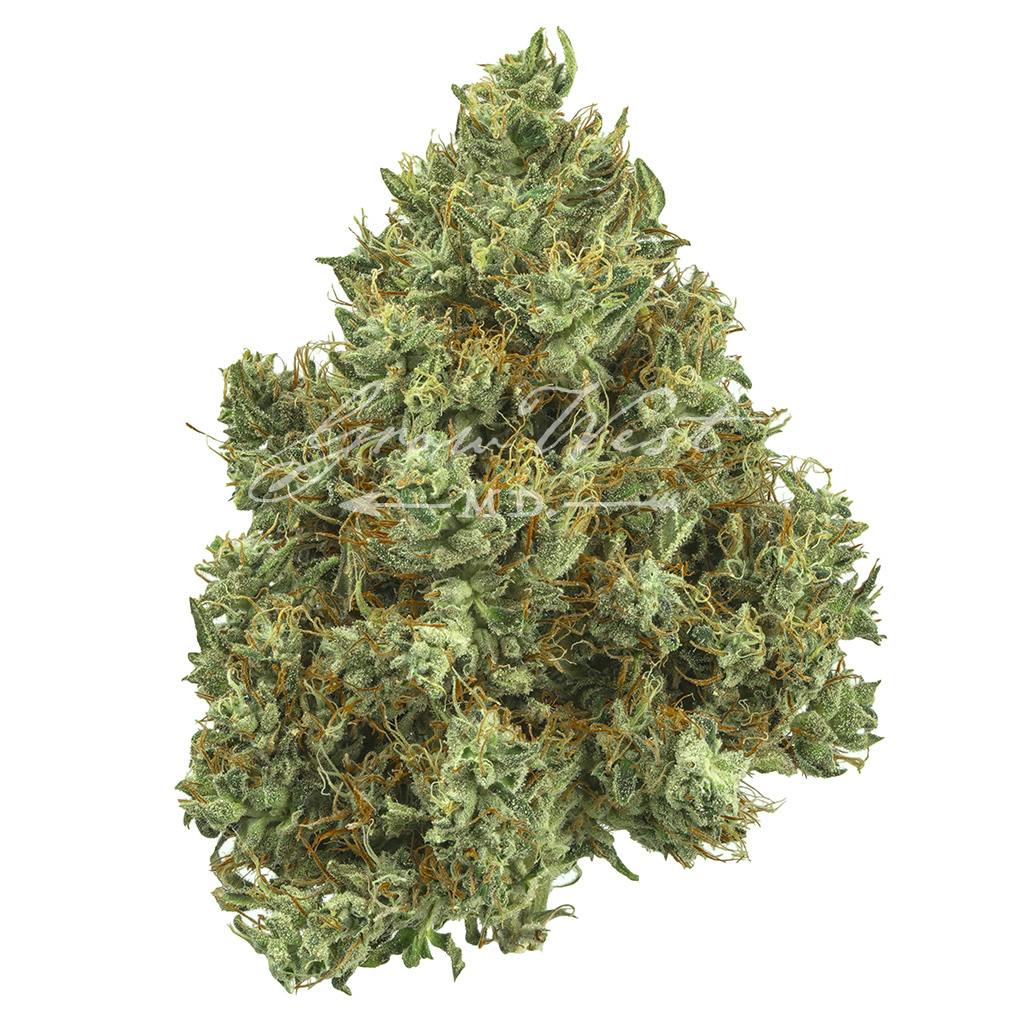 Lilac Diesel | Premium | Hand-Trimmed | 3.5g