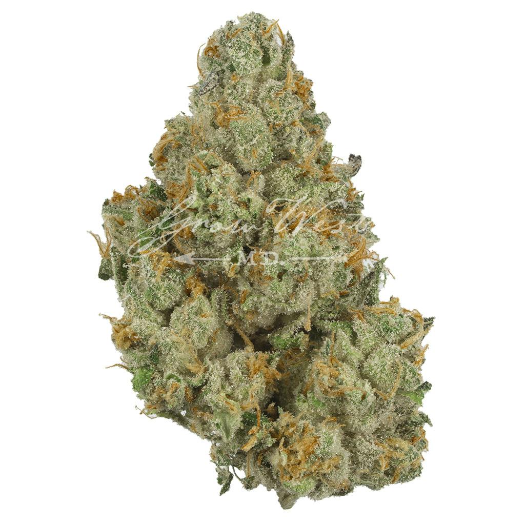 Member Berry | Gold | Trimmed | 3.5g