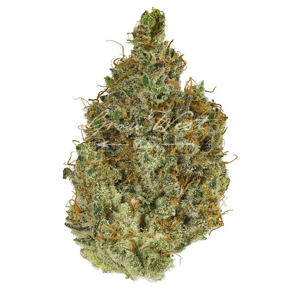 Neapolitan Space Cream | Gold | Trimmed | 3.5g