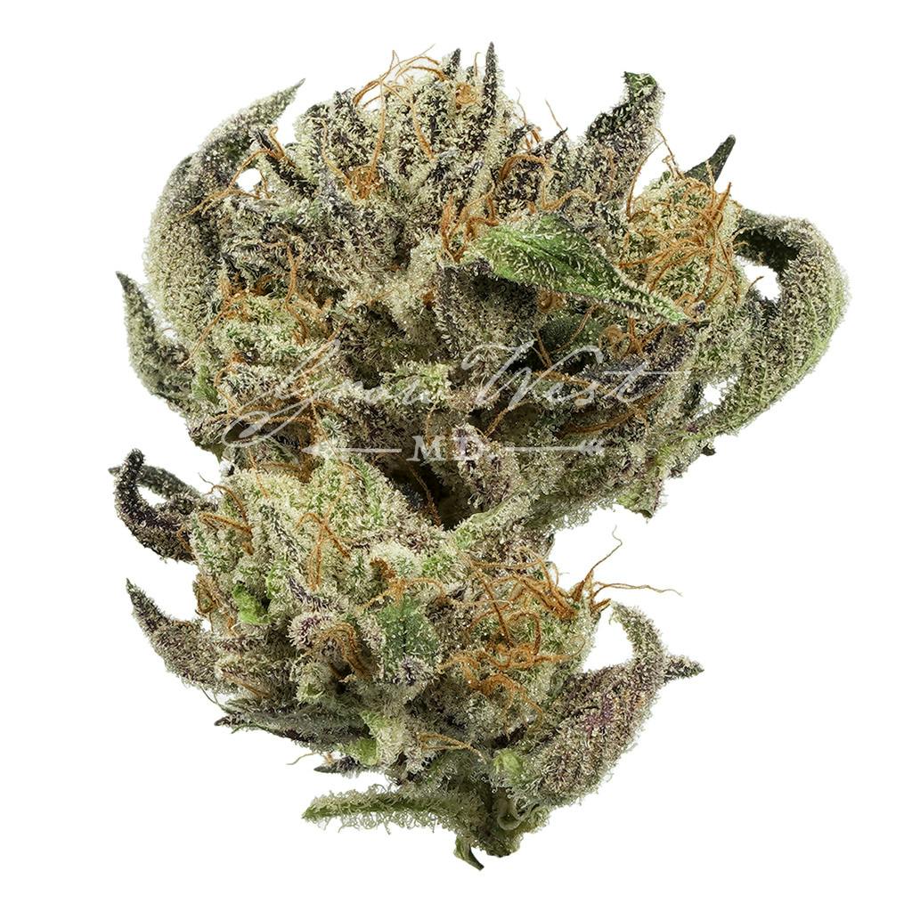 Sweet Cinnamon Octane | Silver | Untrimmed | 3.5g