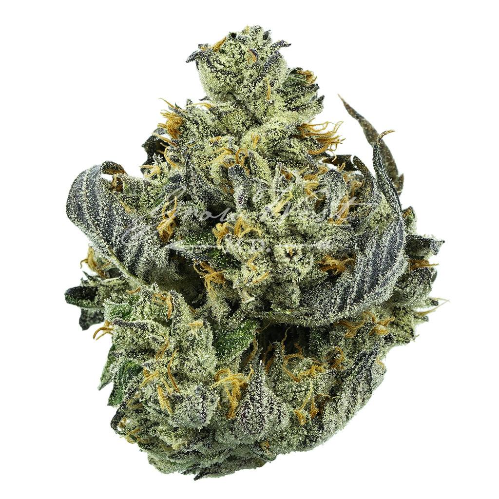 Cloudberry OG | Silver | Untrimmed | 3.5g