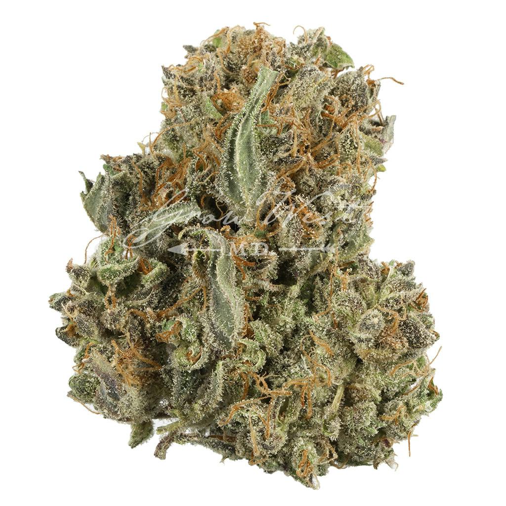 Chocolate Kush | Silver | Untrimmed | 3.5g