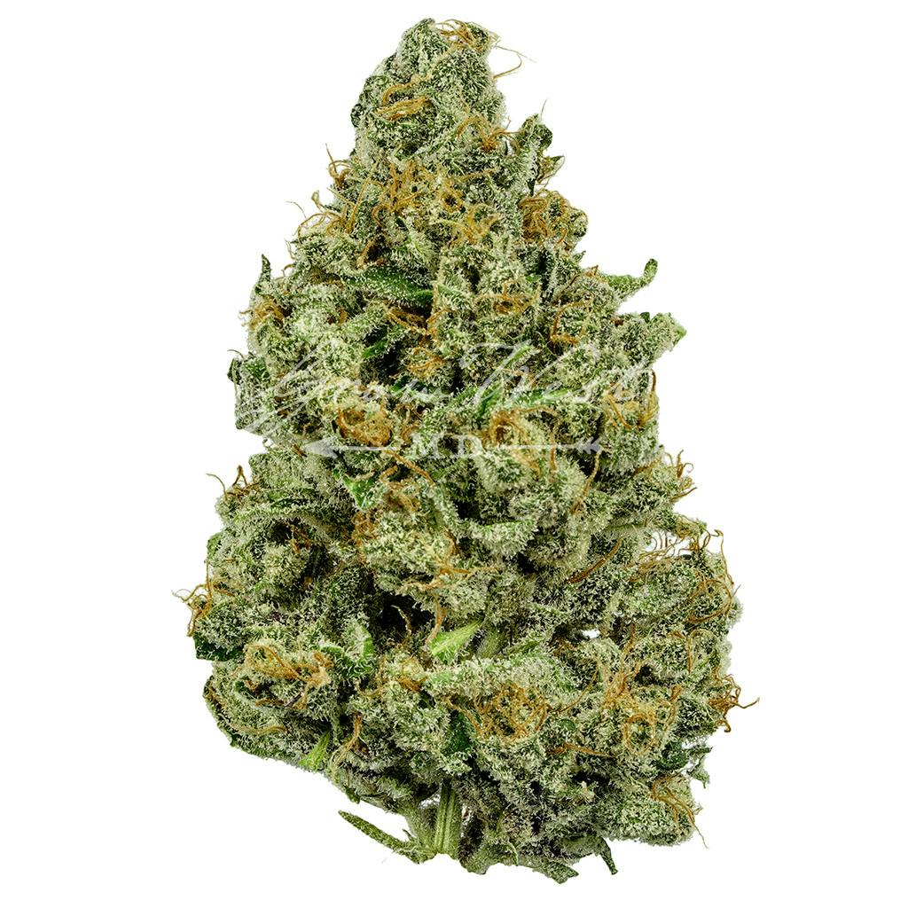 Gandhari Kush | Premium | Hand-Trimmed | 3.5g