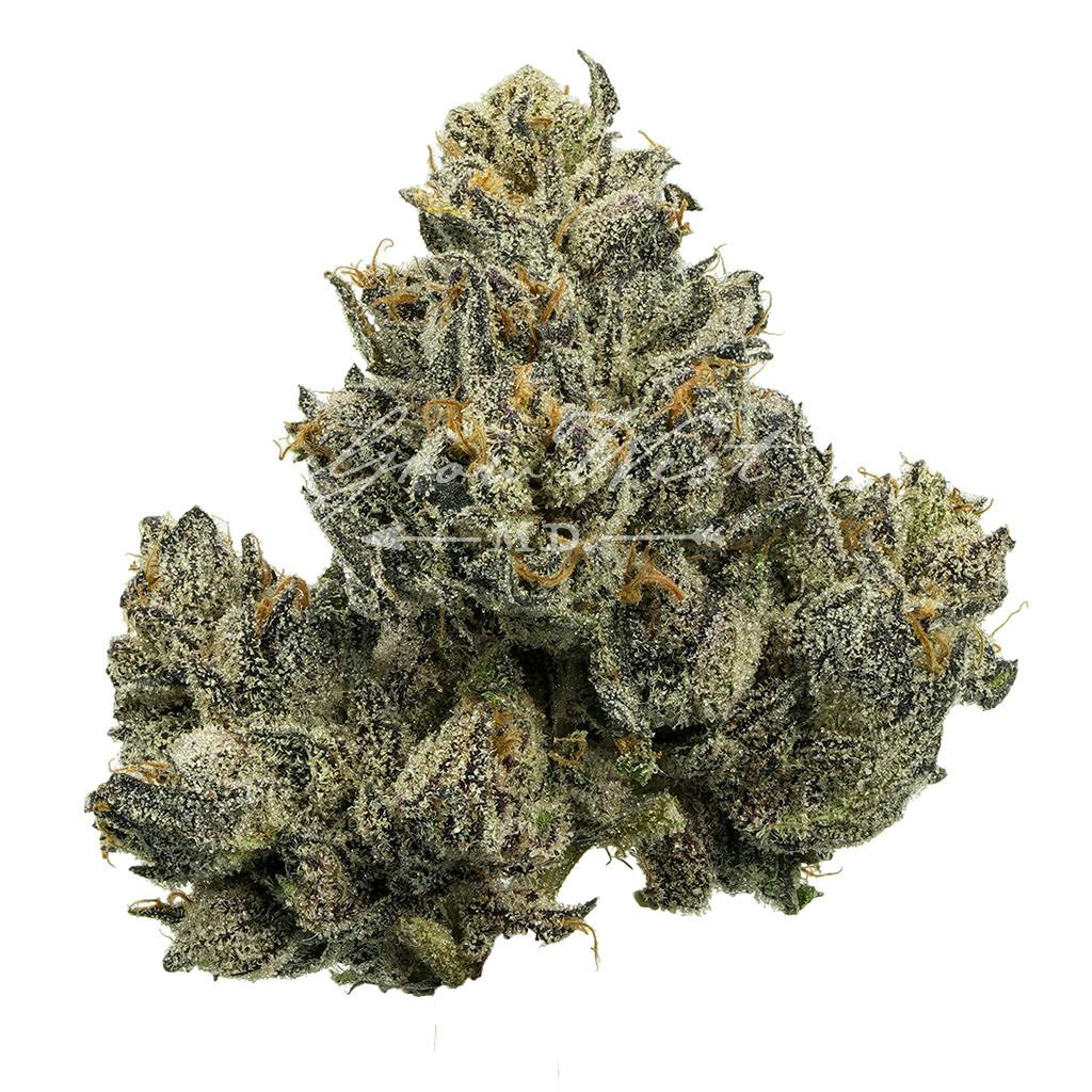 Majestik 12 |  Premium | Hand-Trimmed | 3.5g