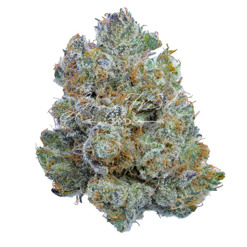 Mandarin Cookies | Gold | Trimmed | 3.5g