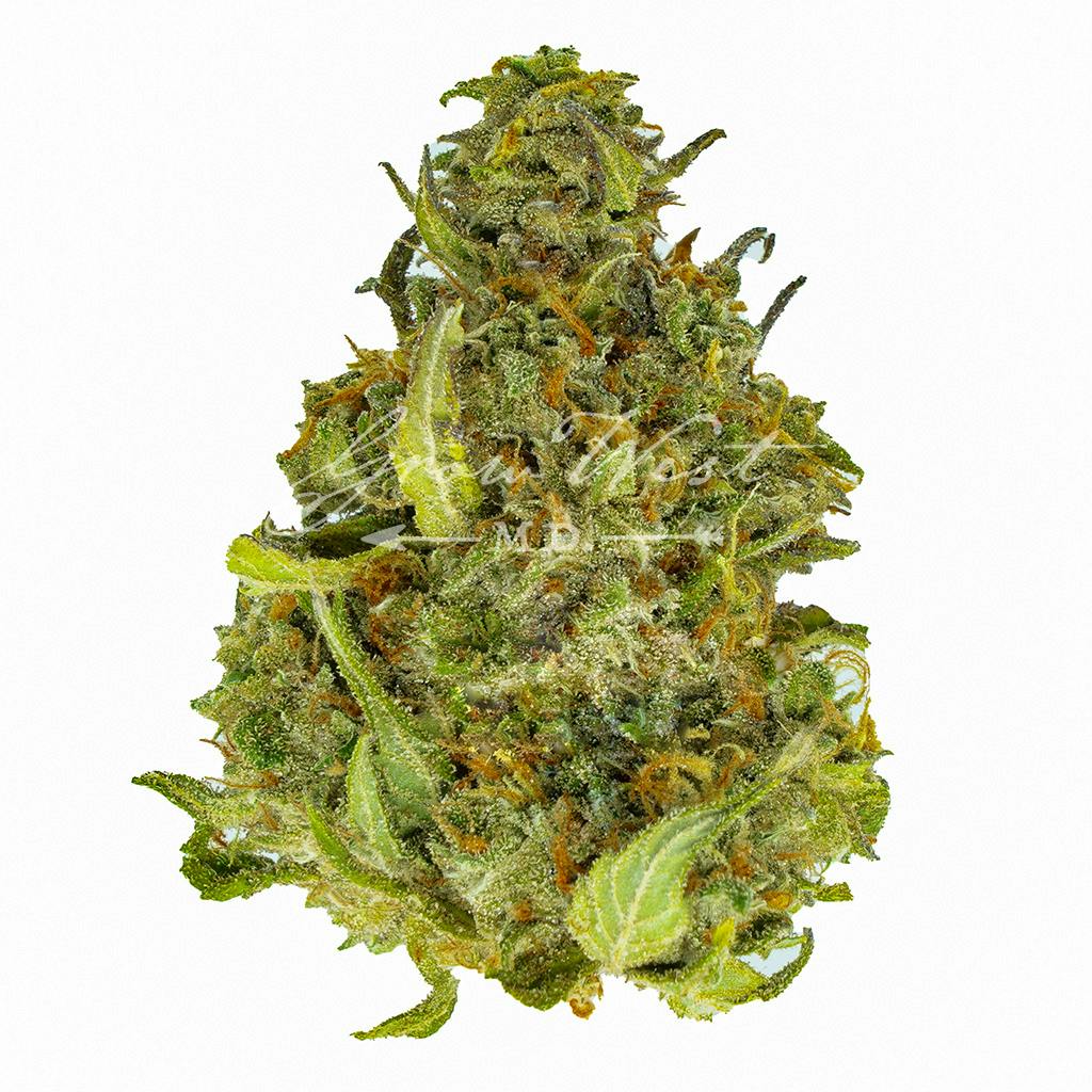 Mother of Pearl | Silver | Untrimmed | 3.5g