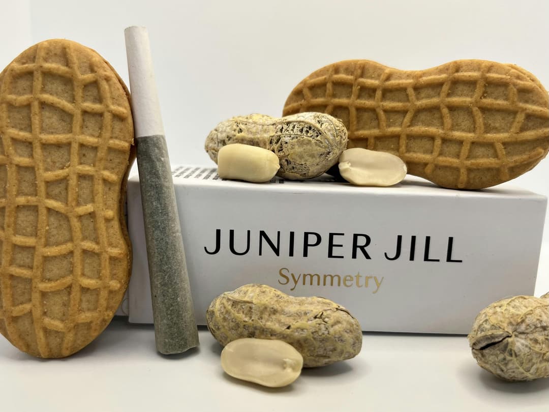 Nutter Budder Single Pre-Roll | 1g