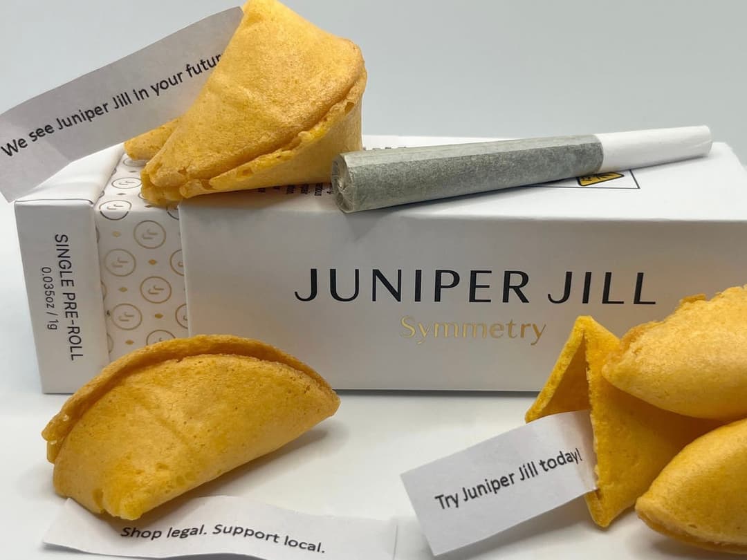 Fortune Cookie Single Pre-Roll | 1g