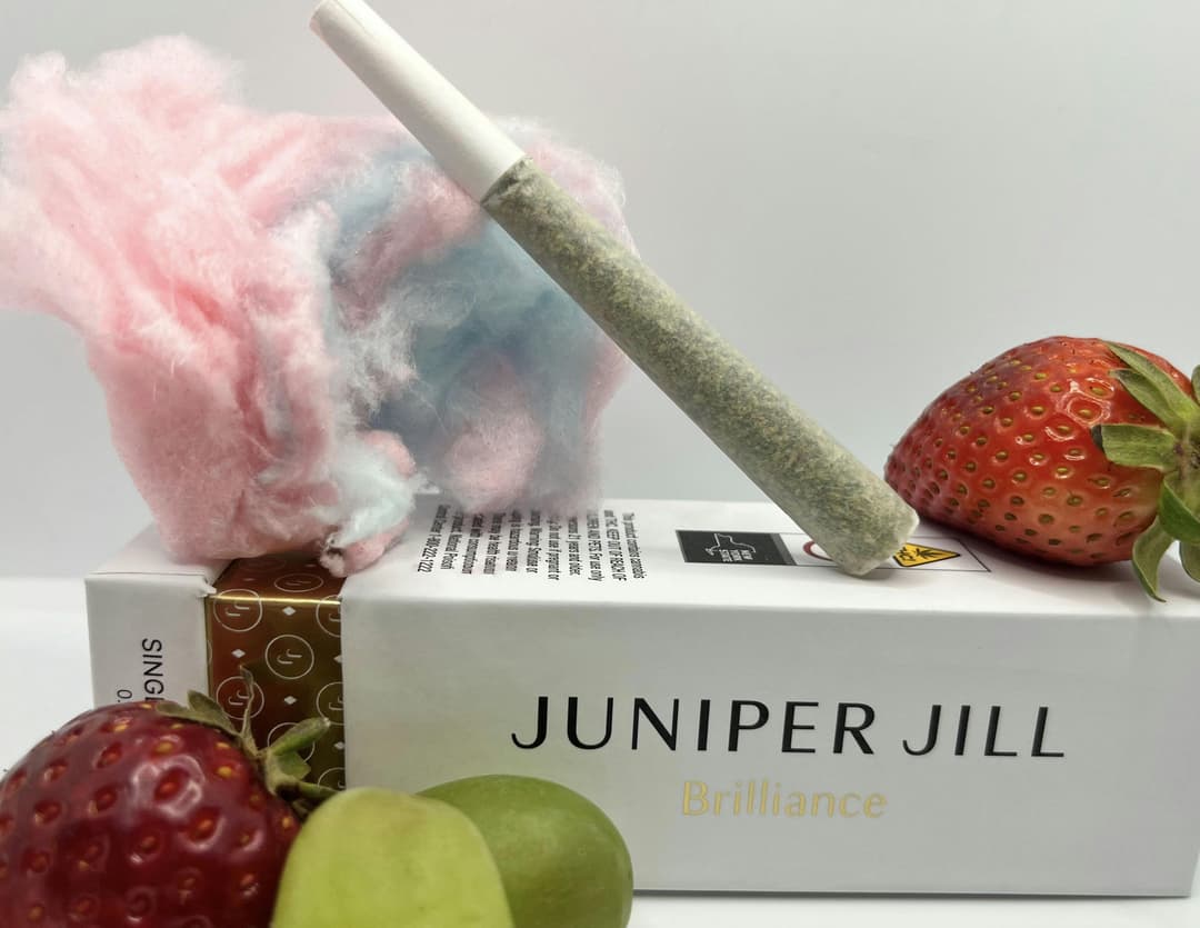 Hella Jelly Single Pre-Roll | 1g