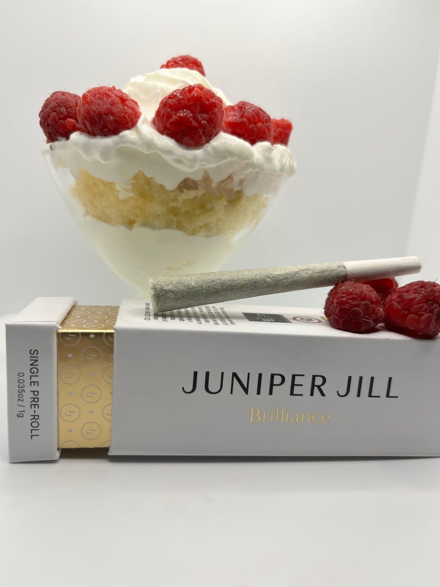 Raspberry Parfait Single Pre-Roll | 1g