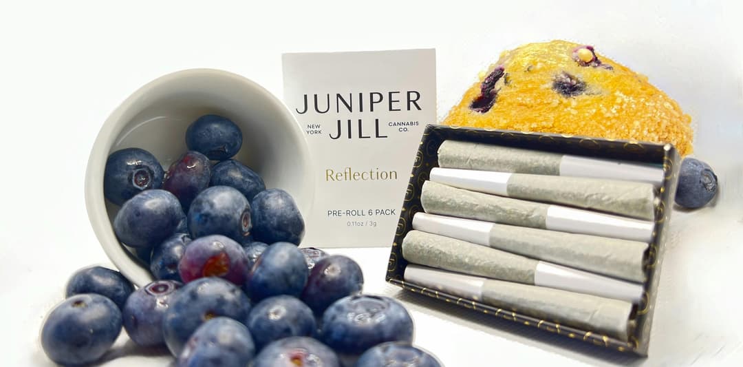 Blueberry Muffin Pre-Roll Multipack | 6 x 0.5g