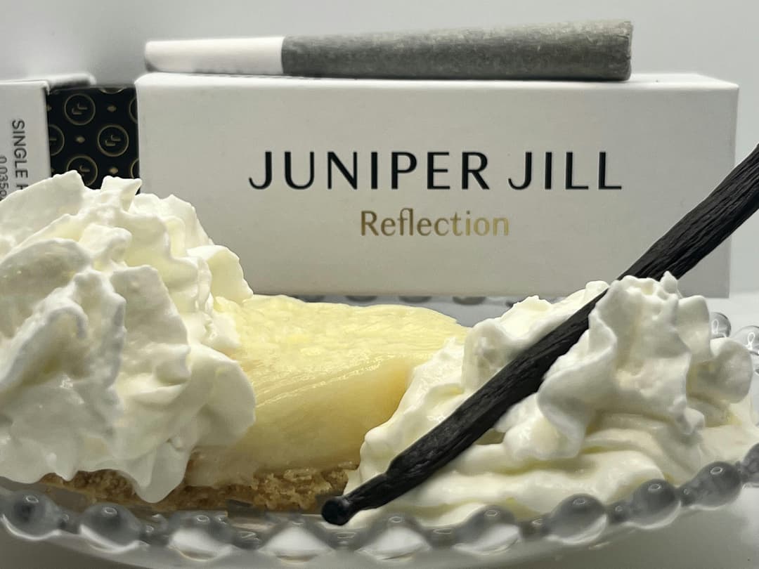 Vanilla Creme Pie Single Pre-Roll | 1g