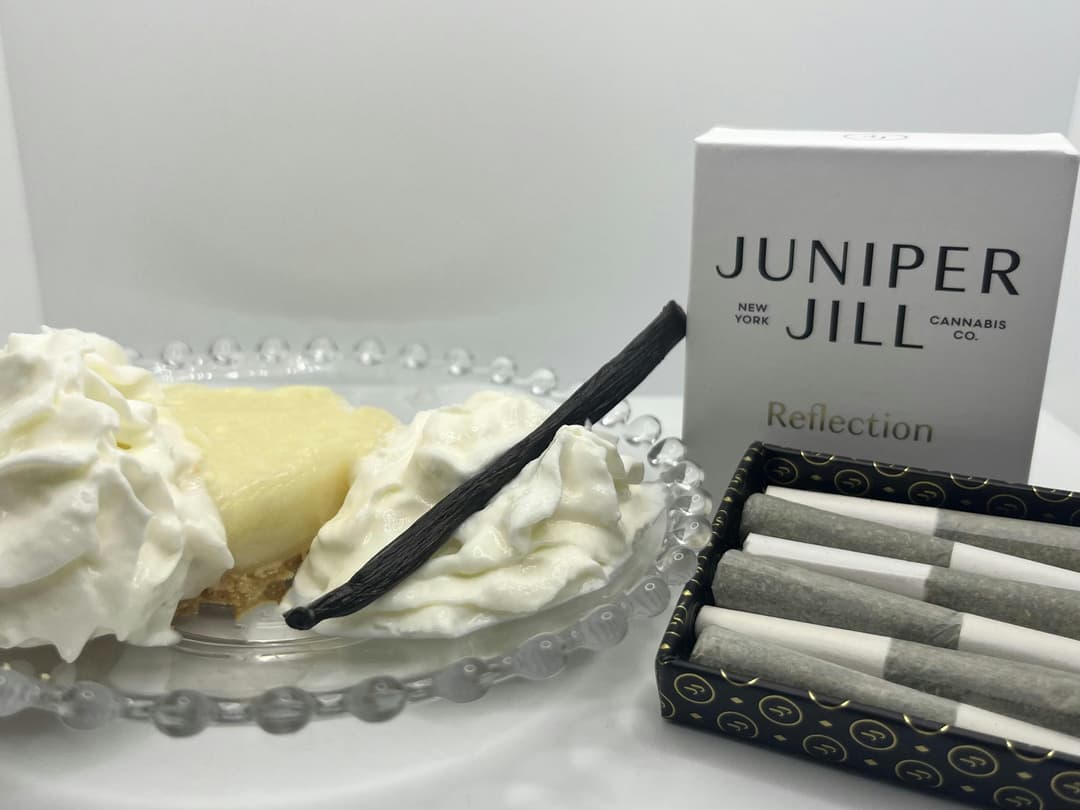Vanilla Creme Pie Pre-Roll Multipack | 6 x 0.5g