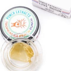 Punch - Live Rosin - Tropicanna Peach Punch - Tier 4