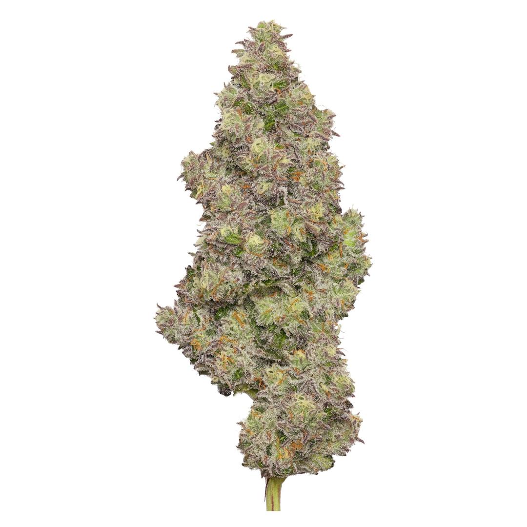 Cap Junky Deli Flower