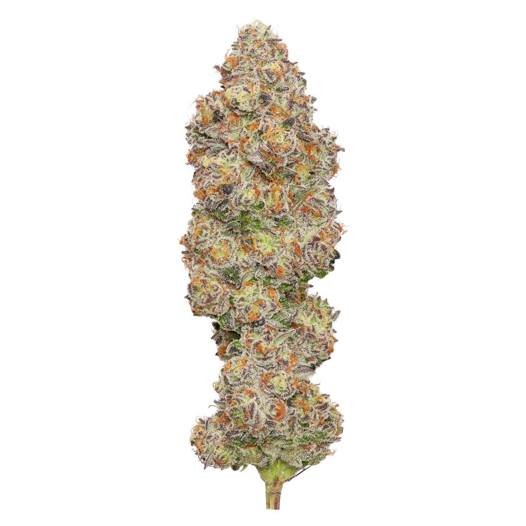 Glitter Bomb Deli Flower