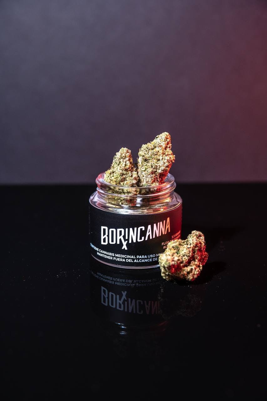 White Dawg