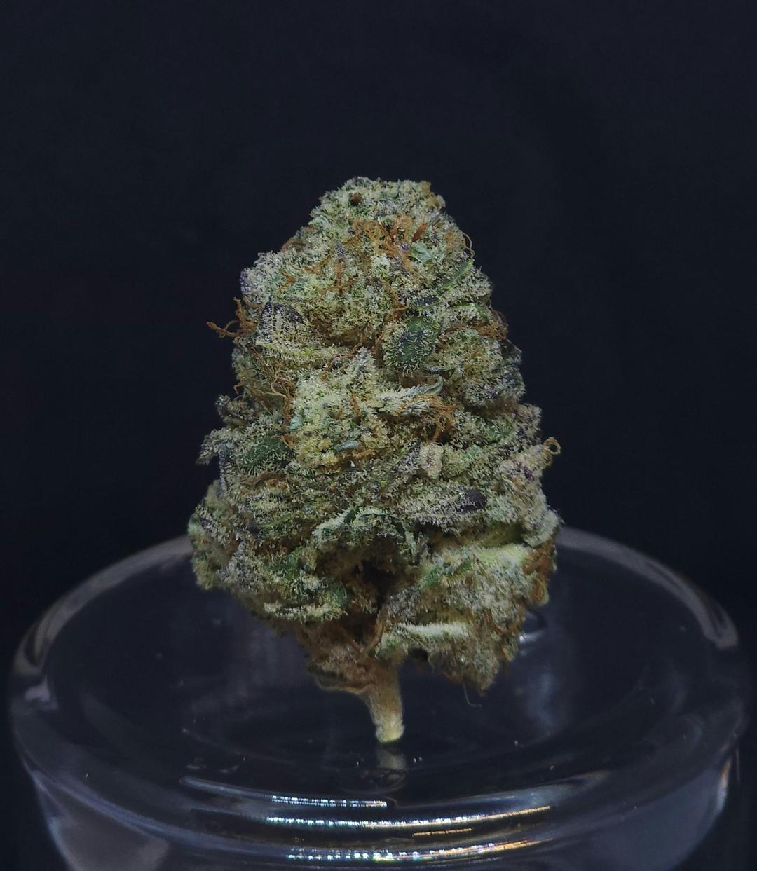 Grease Monkey .5g Pre-Roll