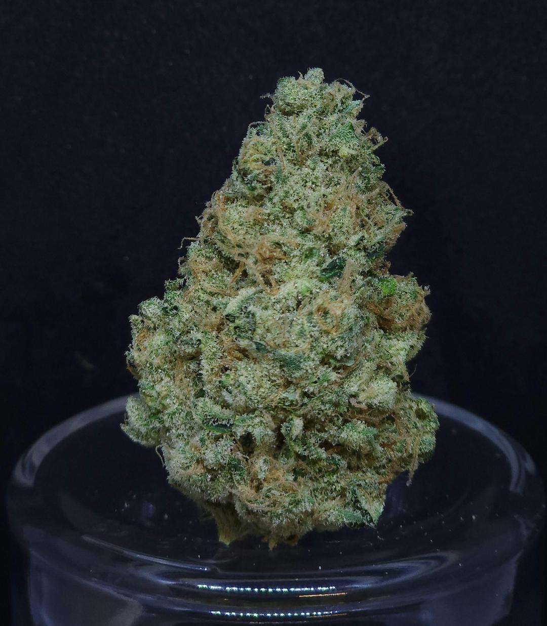 PFD #10 1g Flower