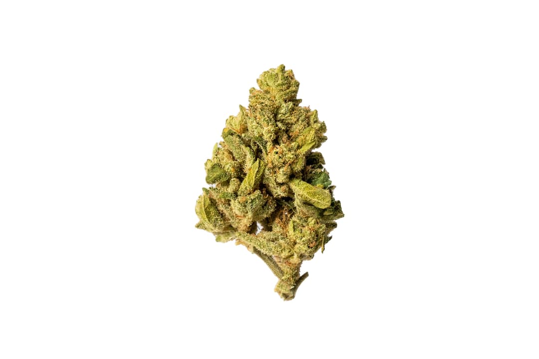 Hot Chocolate 3.5g