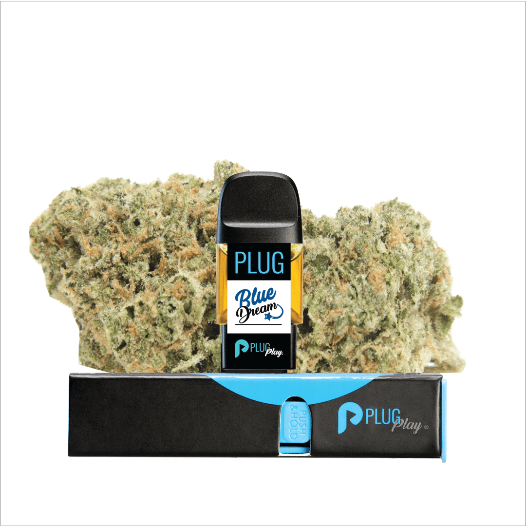 VAPE - 1g PLUG™ Washington: Blue Dream