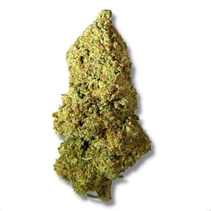 Black - Blue Dynamite (I) - 14g