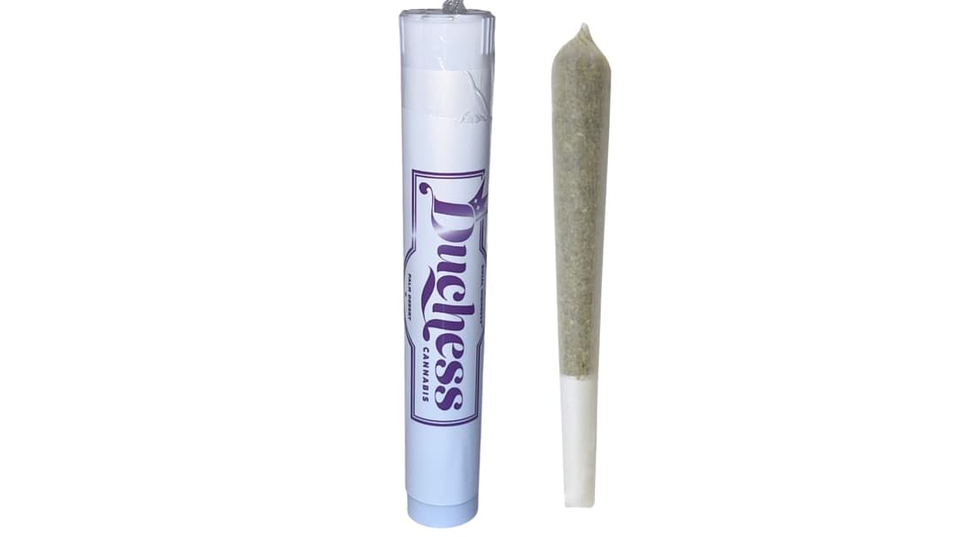 Duchess Sativa preroll 1g