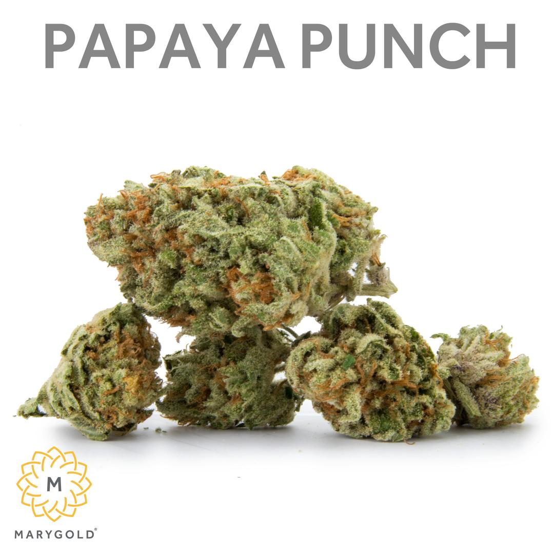 Papaya Punch (Hybrid 28% THC)