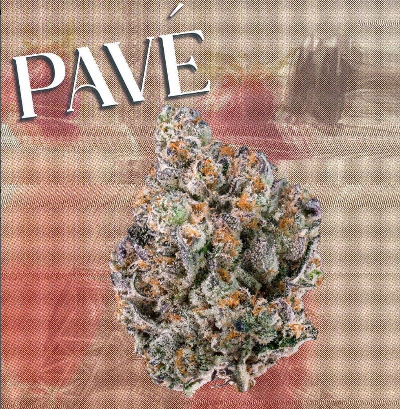 KUTZ | Pave