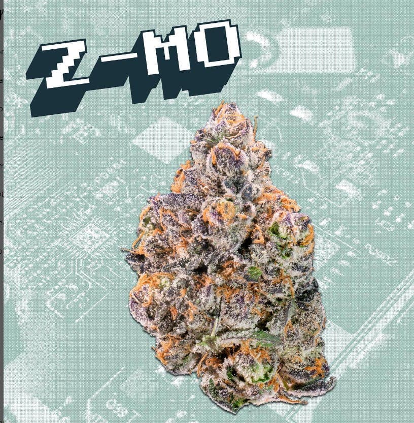 KUTZ | Z-MO