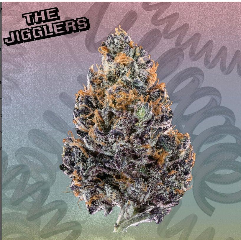 KUTZ | The Jigglers