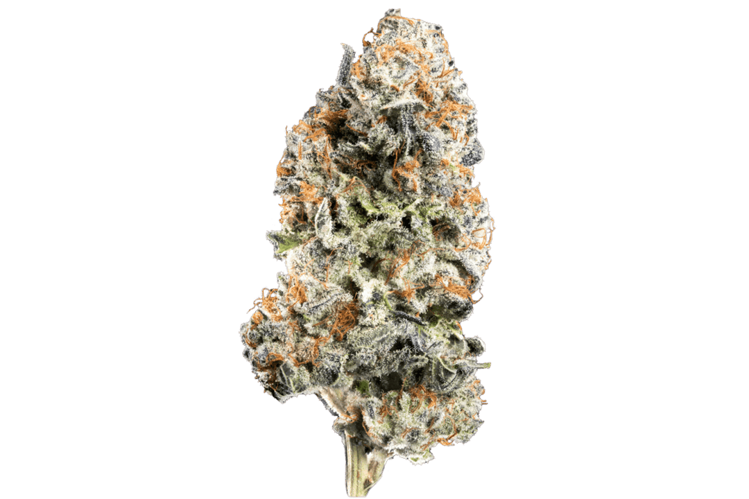 KUTZ | Cherry Punch