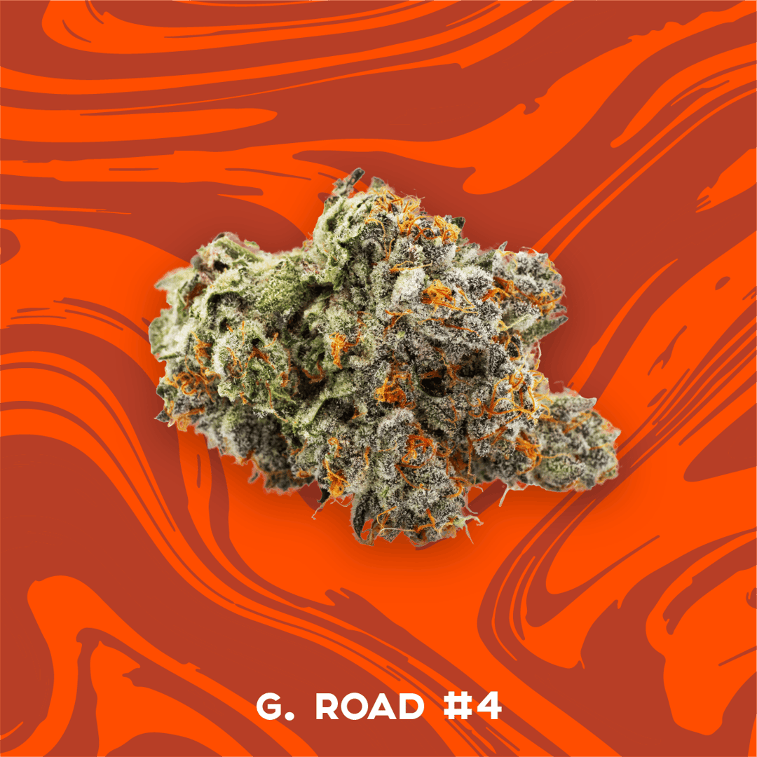 Vivid - G. Road #4