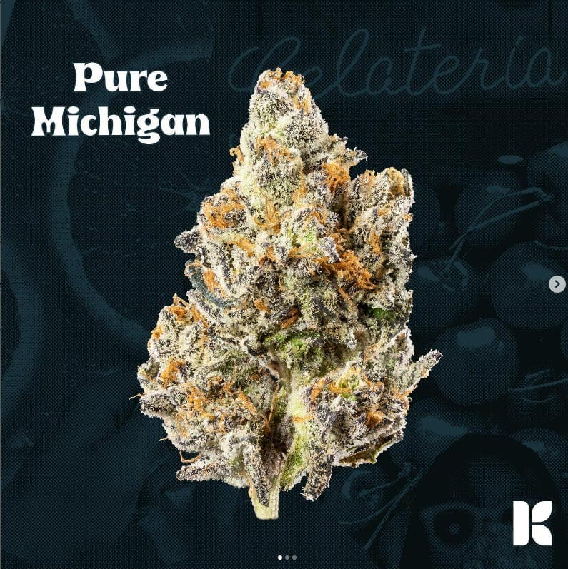 KUTZ | Pure Michigan