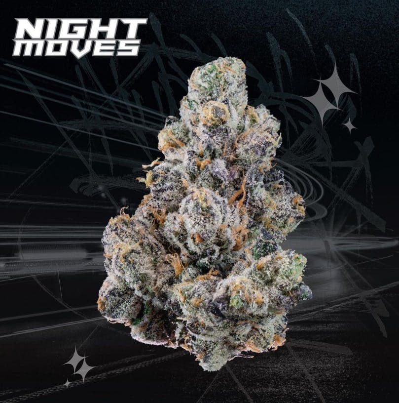 KUTZ | Night Moves