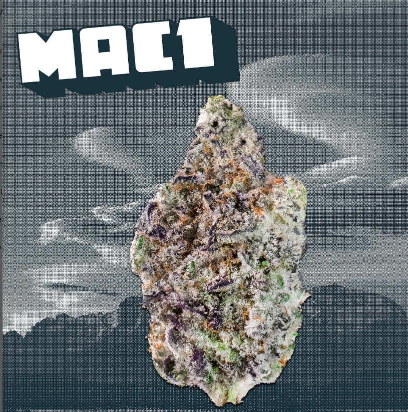 KUTZ | MAC 1