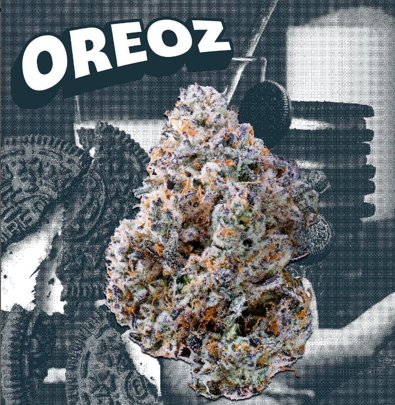 KUTZ | Oreoz