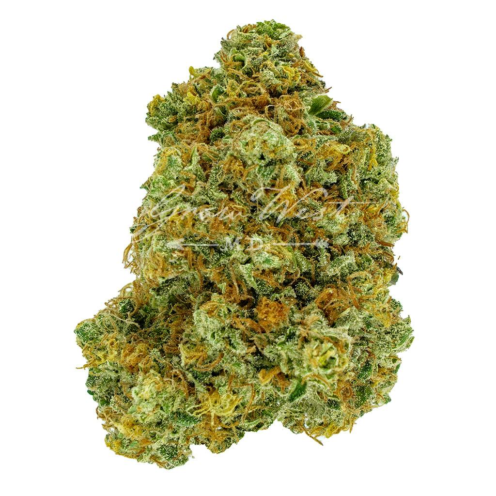 Berry Diesel | Gold | Trimmed | 3.5g