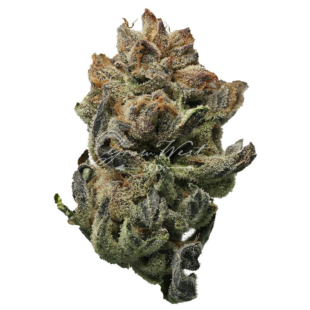 Chem 4 OG x The White | Silver | Untrimmed | 3.5g