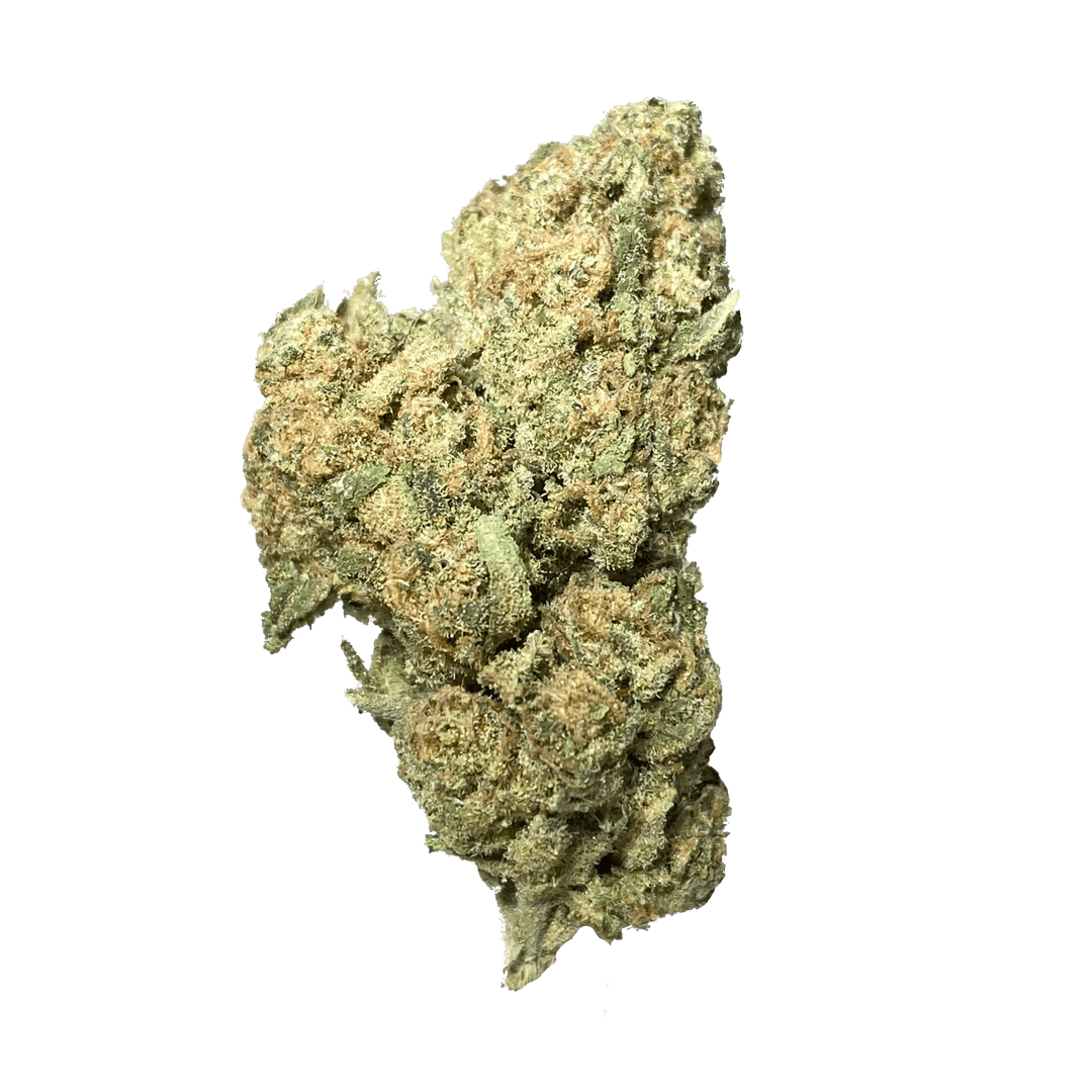 Exotix - Laughing Buddha (S) - 14g