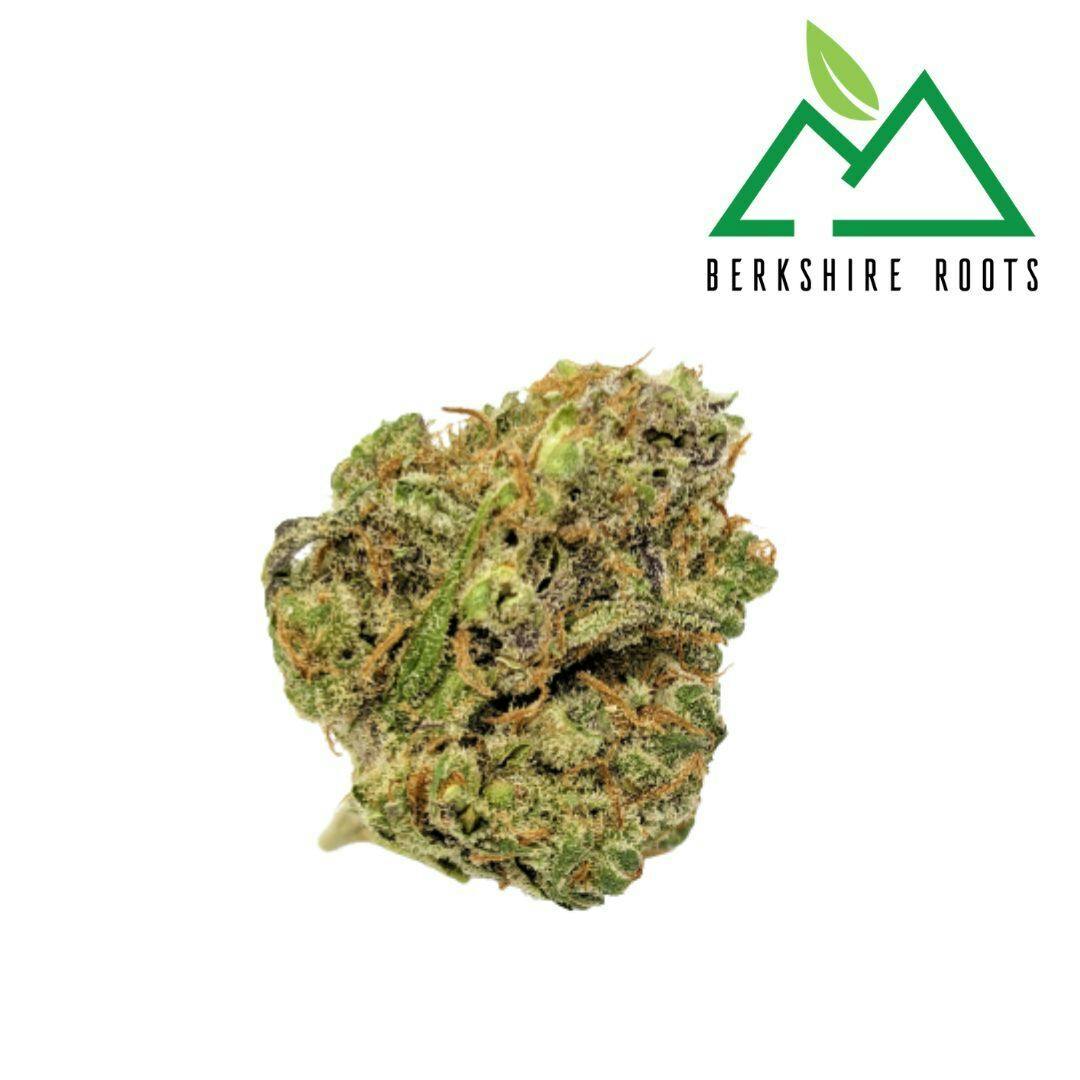 Blueberry Cookies | 3.5g