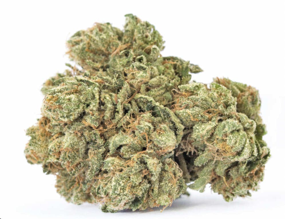 WoW - Hybrid - 30% THC