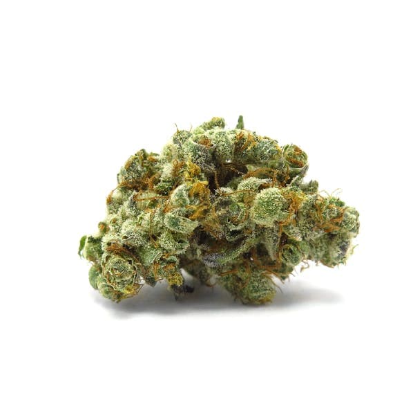 GMO Flower