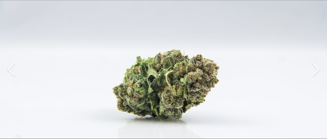 Blueberry Headband Flower