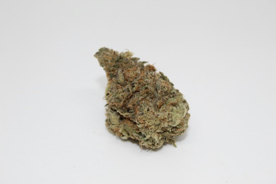 Beech Corner Kush Flower
