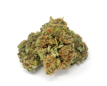 Tropicana Mama Flower